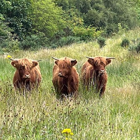 Ben Nevis Manor Lodge & Indoor Private Hot-Tub Fort William Luaran gambar