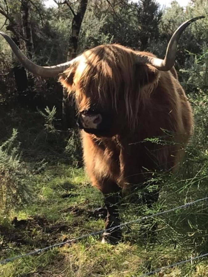 Ben Nevis Manor Lodge & Indoor Private Hot-Tub Fort William Luaran gambar