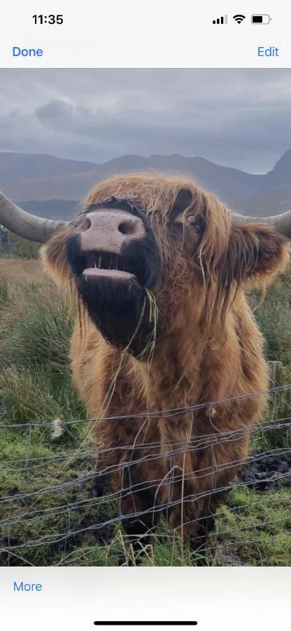 Ben Nevis Manor Lodge & Indoor Private Hot-Tub Fort William Luaran gambar