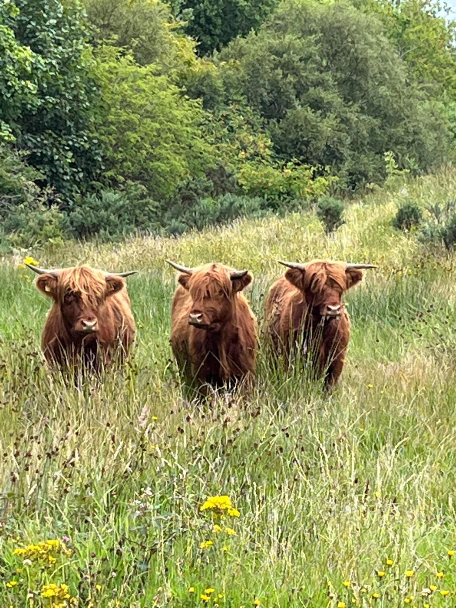 Ben Nevis Manor Lodge & Indoor Private Hot-Tub Fort William Luaran gambar